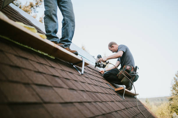 Quick and Trustworthy Emergency Roof Repair Services in Sparta, NC